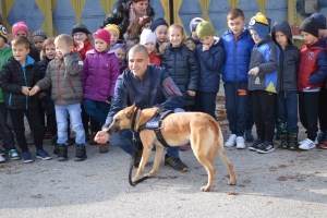 Slika 2017/DV ZVONCIC/MS.JPG